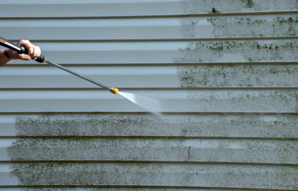 Best Driveway Pressure Washing  in Stratford, CA